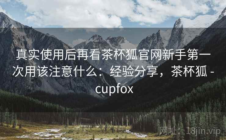真实使用后再看茶杯狐官网新手第一次用该注意什么：经验分享，茶杯狐 - cupfox