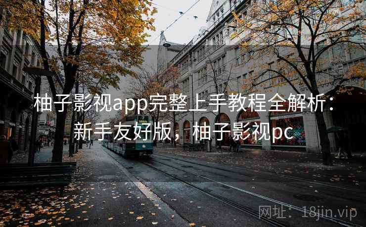 柚子影视app完整上手教程全解析：新手友好版，柚子影视pc